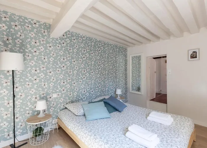 Les Oiseaux Du Corsaire 3 House&terrace 6 P - Center Honfleur